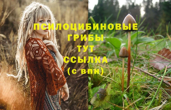 PSILOCYBIN Алексин