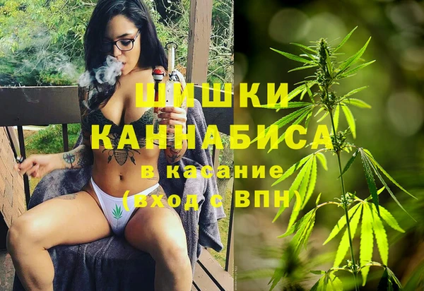 PSILOCYBIN Алексин