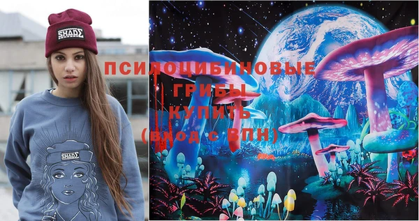 дурь Алзамай